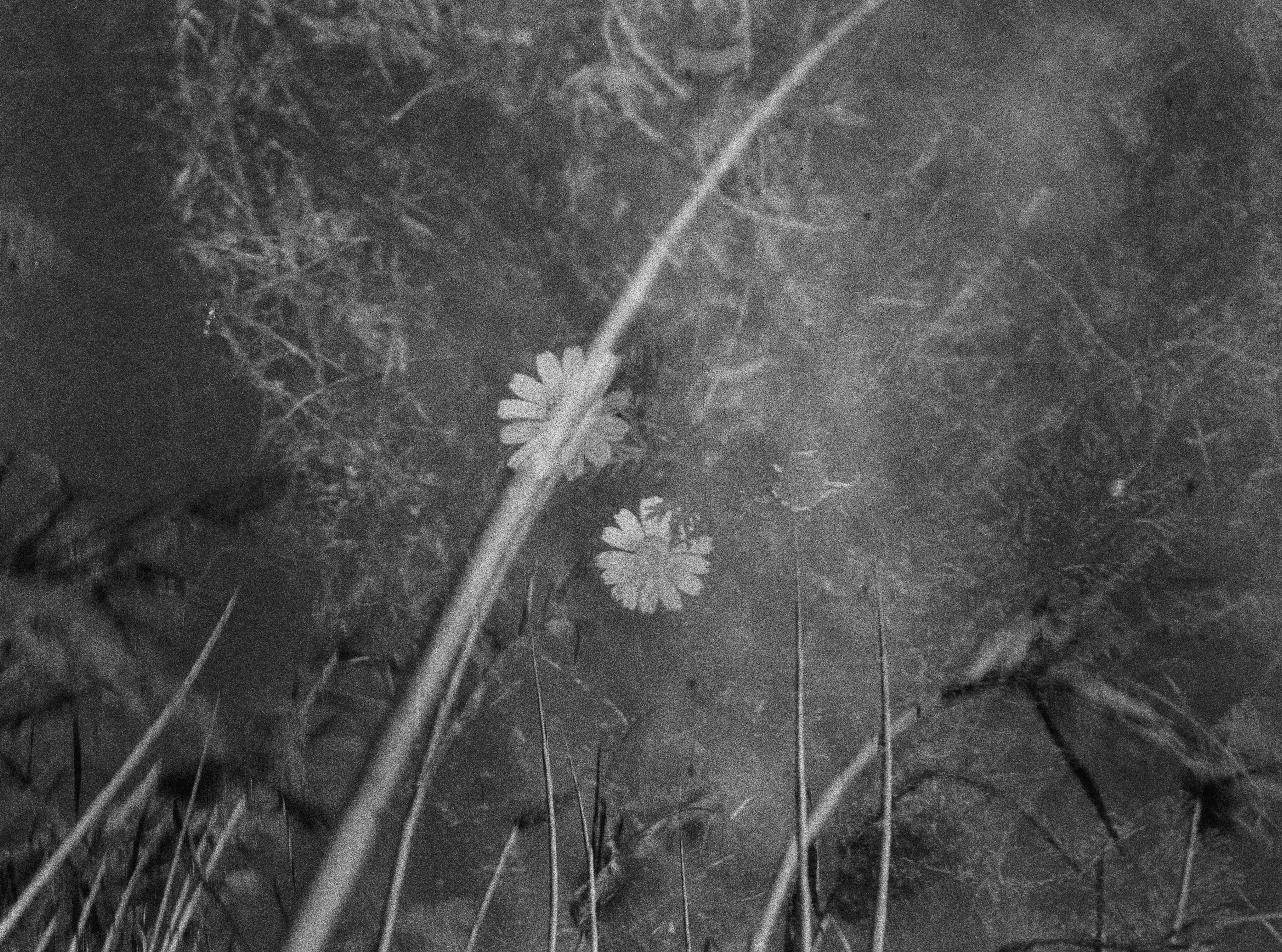 Impresión Código Binario 1